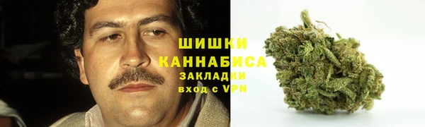 ALPHA PVP Куйбышев
