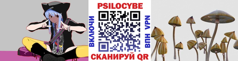 маркетплейс формула  Альметьевск  Псилоцибиновые грибы Magic Shrooms 